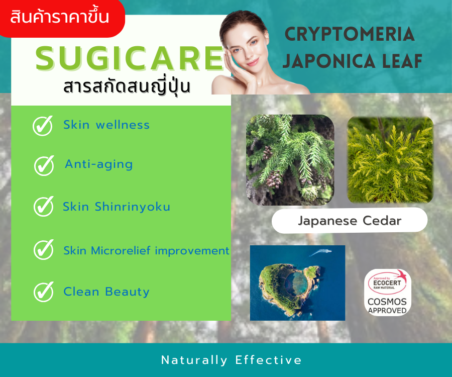 Sugicare    สารสกัดจากใบต้นสนญี่ปุ่น(Japanese cedar)  ช่วยต่อต้านอนุมูลอิสระ  ลดเลือนริ้วรอยร่องลึก